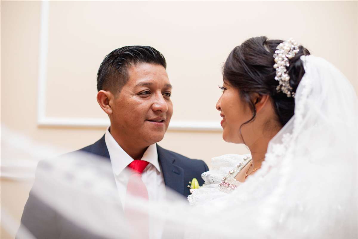 bodas